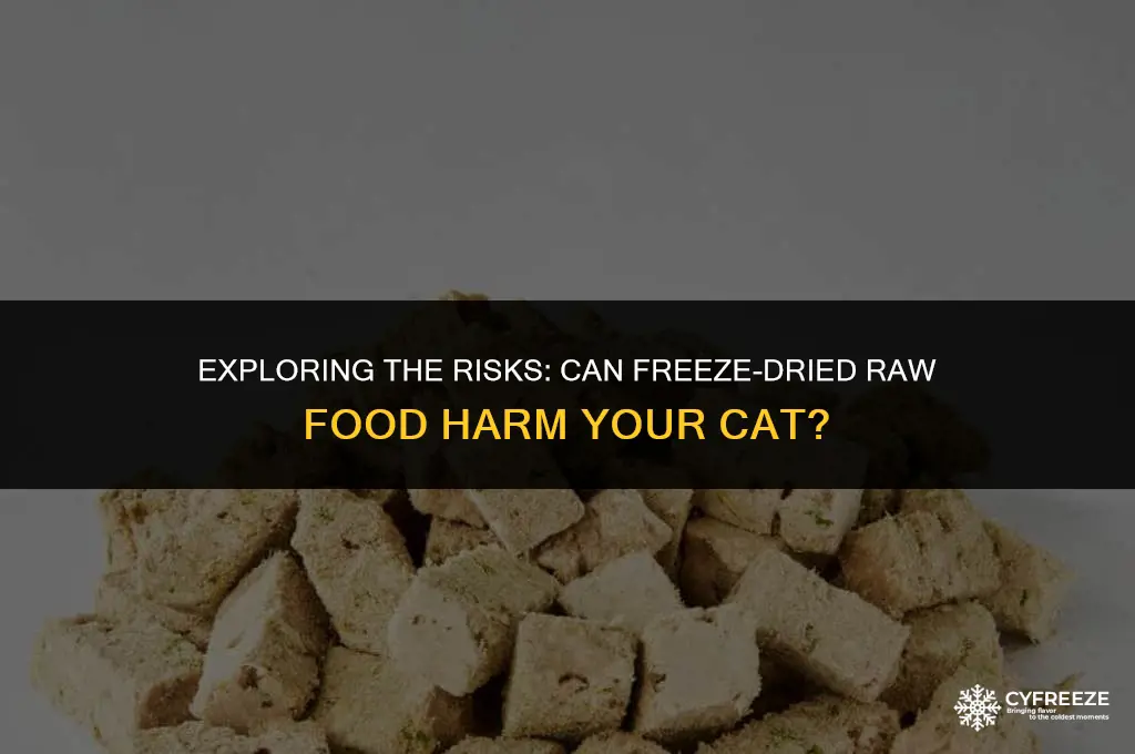 can freeze-dried raw food make cat sick