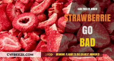 Do Freeze-Dried Strawberries Expire? Shelf Life Explained