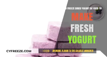 Reviving Freshness: The Surprising Uses of Freeze-Dried Yogurt