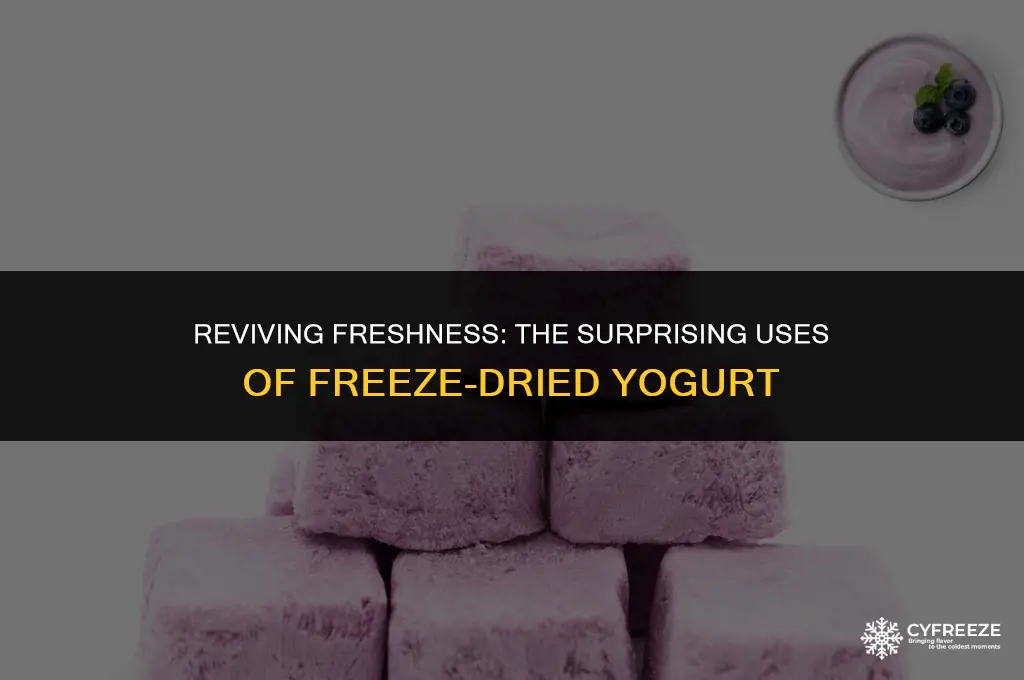 can freeze dried yogurt be used to make fresh yogurt