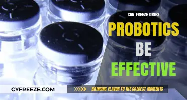 Exploring the Efficacy of Freeze-Dried Probiotics: A Comprehensive Guide