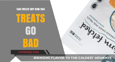 Do Freeze-Dried Raw Dog Treats Expire? A Comprehensive Guide