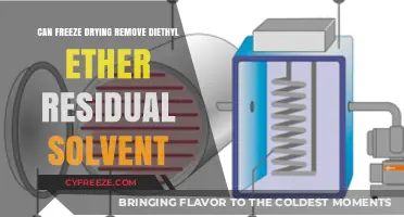Exploring Freeze Drying's Efficacy in Removing Diethyl Ether Solvent Residues