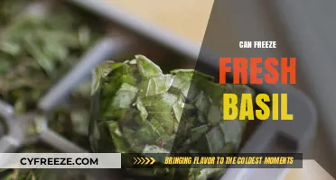 Preserve the Flavor: How to Freeze Fresh Basil for Year-Round Use
