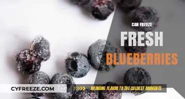 Blueberry Bliss: The Ultimate Guide to Freezing Fresh Blueberries