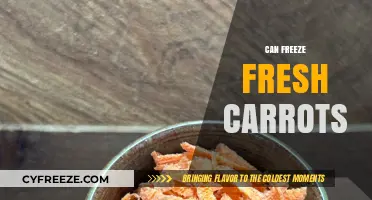 Fresh Carrots: The Ultimate Guide to Freezing for Optimal Nutrition
