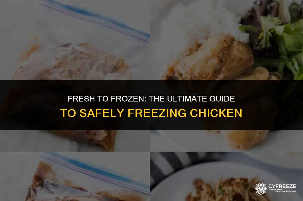 can freeze fresh chicken