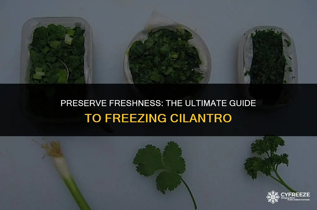 can freeze fresh cilantro