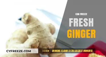 Preserving Pungency: The Complete Guide to Freezing Fresh Ginger