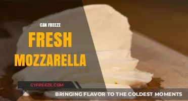 From Fresh to Frozen: The Ultimate Guide to Freezing Mozzarella