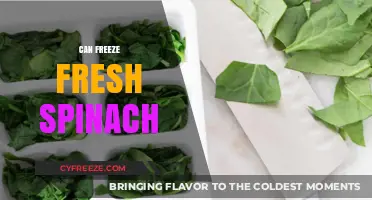 From Garden to Freezer: The Ultimate Guide to Preserving Fresh Spinach