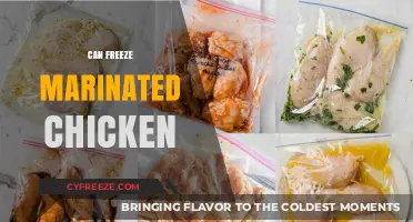 Can You Freeze Marinated Chicken? A Complete Guide