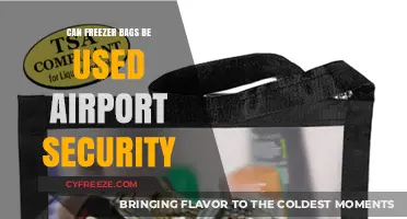 Can Freezer Bags Pass Airport Security? Travel Tips Revealed