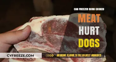 Can Freezer Burned Cooked Meat Be Harmful to Dogs?