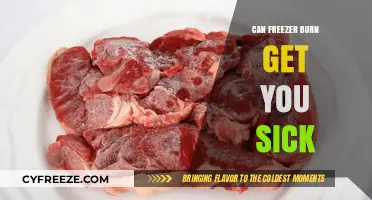 Can Freezer Burn Make You Sick? Facts and Food Safety Tips