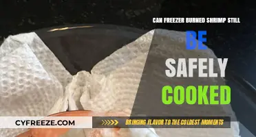 Reviving Frozen Delights: Can Freezer-Burned Shrimp Still Be Safely Cooked?