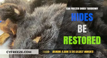 Restoring Freezer-Dried Taxidermy Hides: A Comprehensive Guide