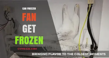 Can Your Freezer Fan Freeze? Causes and Prevention Tips
