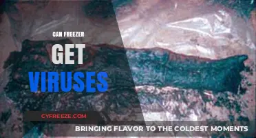 Can Freezers Harbor Viruses? Exploring the Risks and Facts