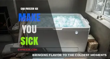 The Truth About Freezer Ice: Debunking Health Myths