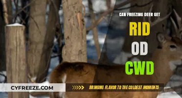 Freezing Deer: An Effective Method to Combat CWD Spread?
