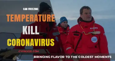Freezing Temperatures and COVID-19: Can Cold Weather Kill Coronavirus?