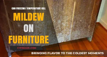 Freezing Temperatures: Effective Mildew Killer for Furniture or Myth?
