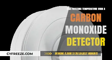 Freezing Temperatures and Carbon Monoxide Detectors: Potential Risks Explained