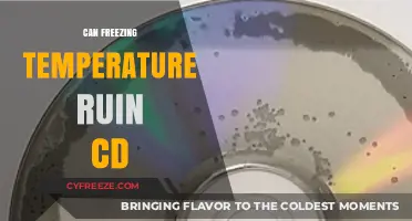 Can Freezing Temperatures Damage Your CDs? Facts and Prevention Tips