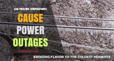 How Freezing Temperatures Lead to Widespread Power Outages
