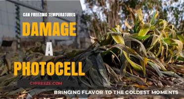 Can Freezing Temperatures Harm Your Photocell's Performance and Longevity?