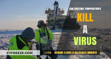 Freezing Temperatures and Viruses: Can Cold Weather Kill Pathogens?