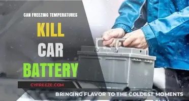 Can Freezing Temperatures Kill Your Car Battery? What You Need to Know