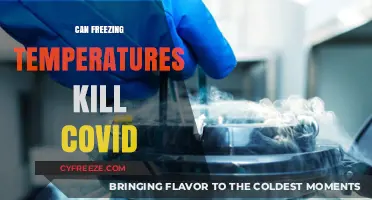 Can Freezing Temperatures Kill COVID-19? Unraveling the Cold Weather Myth