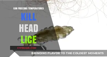 Can Freezing Temperatures Kill Head Lice? The Chilling Truth