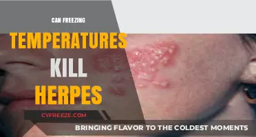 Freezing Temperatures and Herpes: Can Cold Kill the Virus?