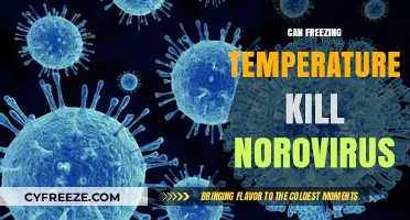 Freezing Temperatures and Norovirus: Can Cold Kill the Stomach Bug?