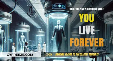 Eternal Life Through Cryonics: The Quest for Immortality Unfrozen