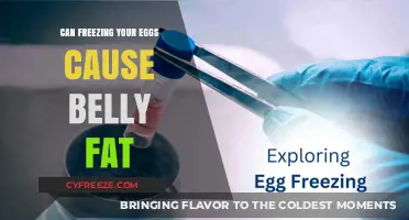 Egg Freezing and Belly Fat: Unraveling the Surprising Connection
