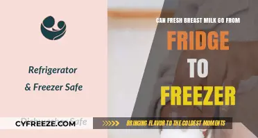 Safely Storing Breast Milk: Fridge to Freezer Transition