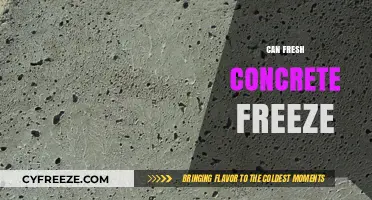 Will Freshly Poured Concrete Freeze? Essential Tips for Cold Weather Construction
