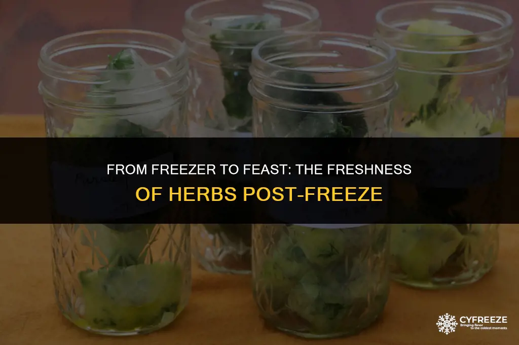 can fresh herbs be eaten after freezing