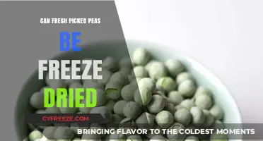 From Garden to Pantry: The Art of Freeze-Drying Fresh Peas