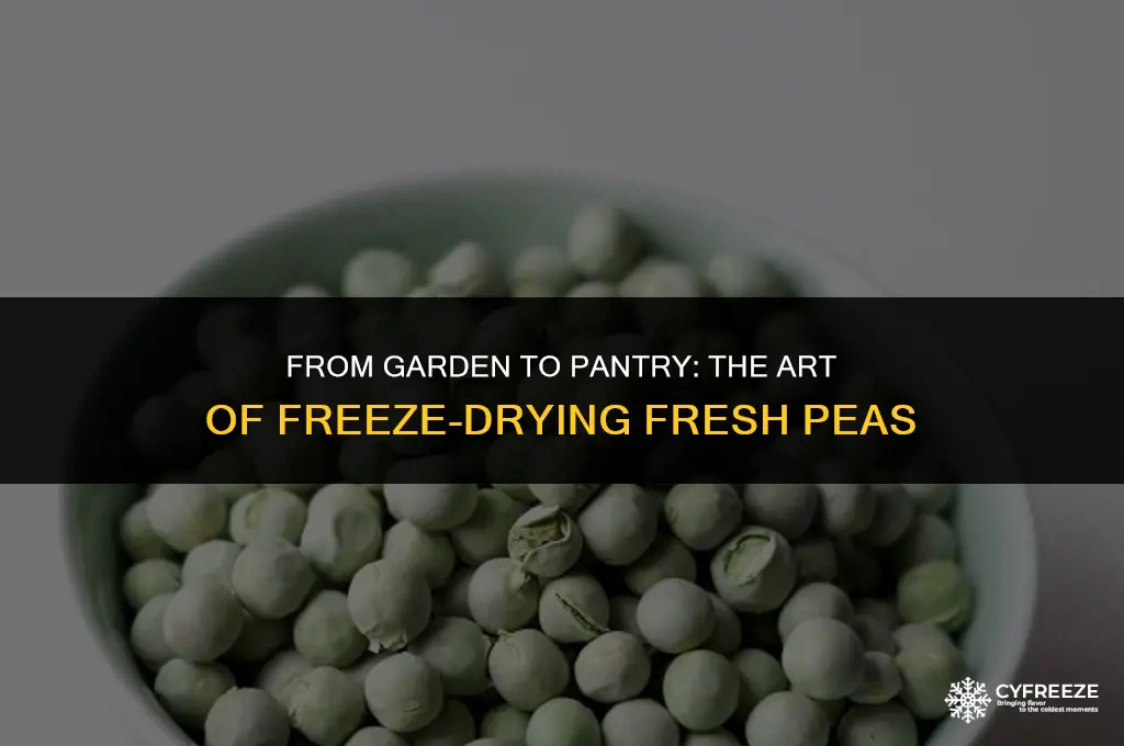 can fresh picked peas be freeze dried