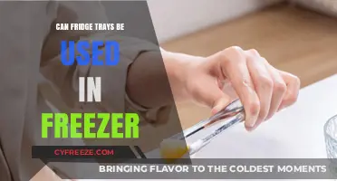 Chill or Freeze? The Versatility of Fridge Trays Explained