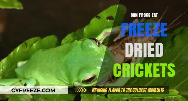 Can Frogs Feast on Freeze-Dried Crickets? A Nutritional Guide