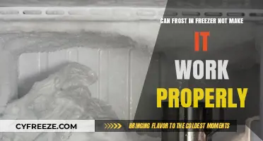 Frosty Troubles: How Excessive Frost Can Hamper Your Freezer's Efficiency