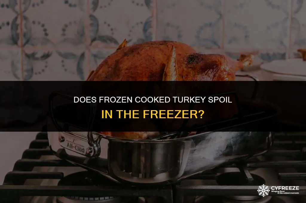 can frozen cooked turkey go bad in freezer