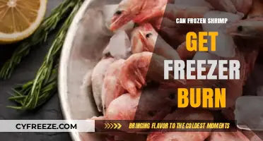 Can Frozen Shrimp Get Freezer Burn? Prevention and Storage Tips