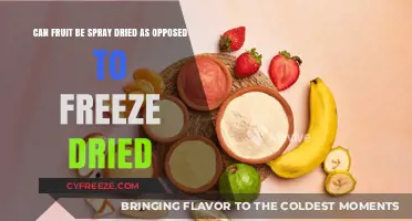 Exploring Preservation Methods: Spray Drying vs Freeze Drying Fruit
